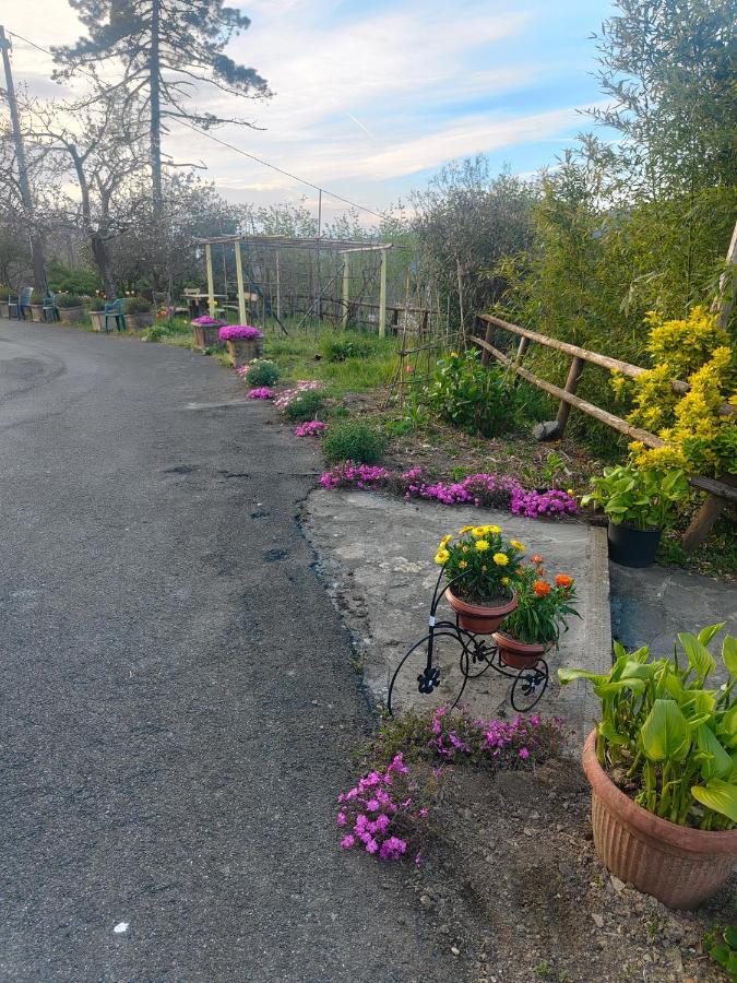 La Valle Fiorita Soviore Buitenkant foto