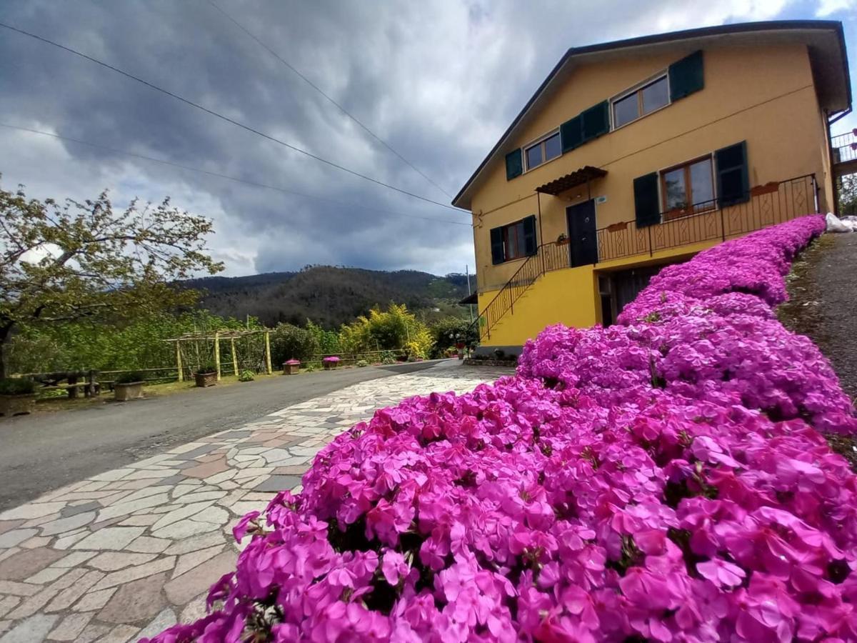 La Valle Fiorita Soviore Buitenkant foto