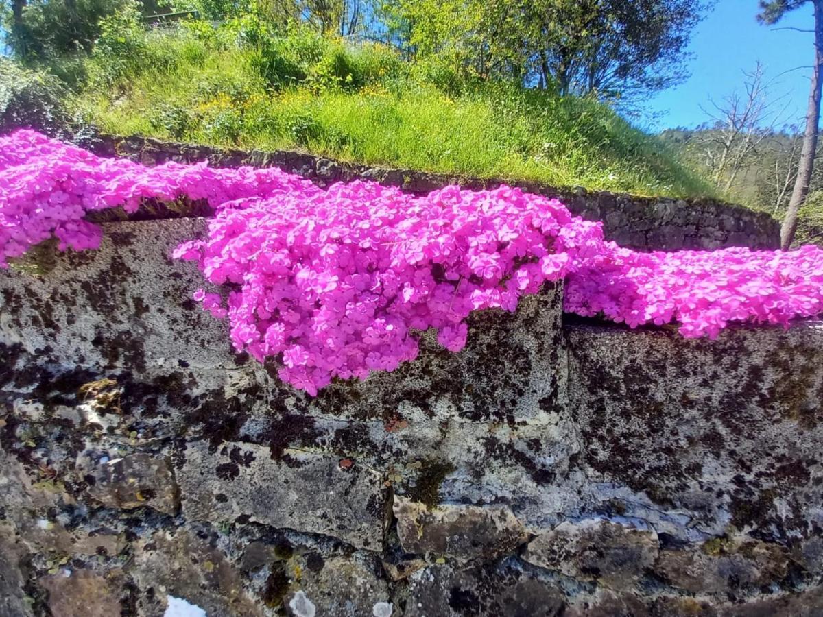 La Valle Fiorita Soviore Buitenkant foto