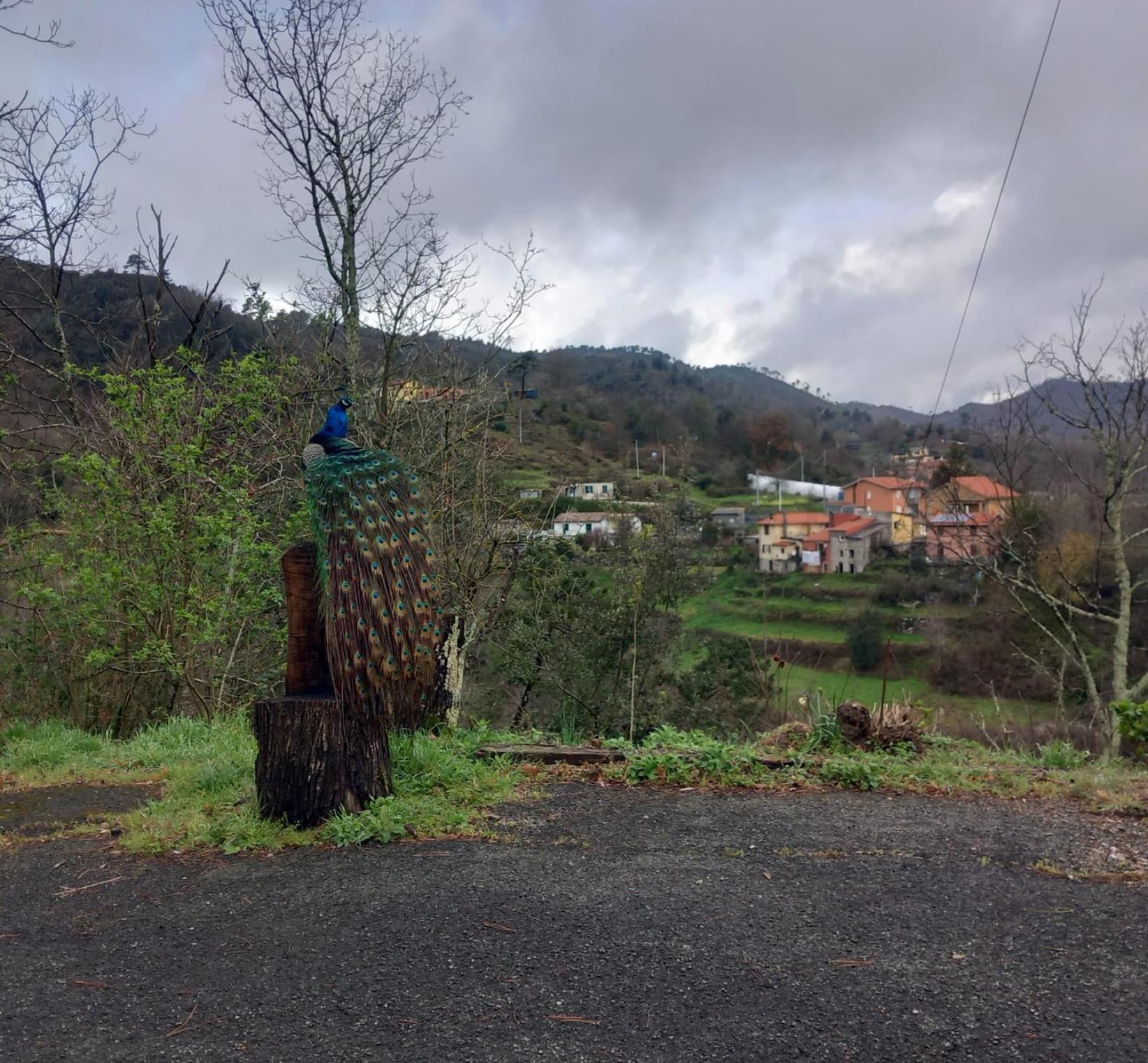 La Valle Fiorita Soviore Buitenkant foto